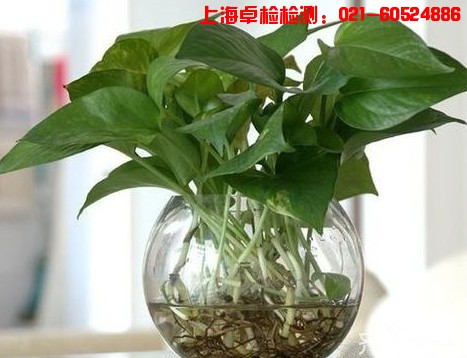 上海室內(nèi)空氣質(zhì)量檢測中心-上海CMA檢測報告